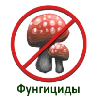 фунгициды украина