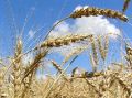 agro_politika
